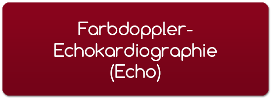 Farbdoppler-Echokardiographie Echo
