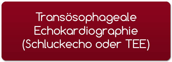 Transösophageale Echokardiographie Schluckecho TEE